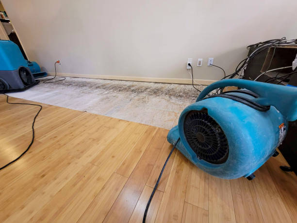 Professional Structural Drying technician working in Belding, MI